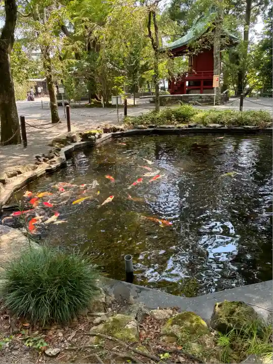 伊豆山神社(静岡県)