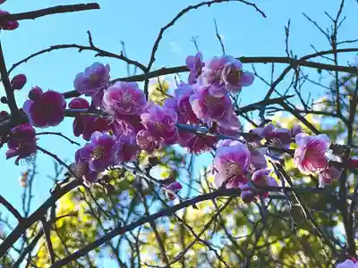 報徳二宮神社(神奈川県)