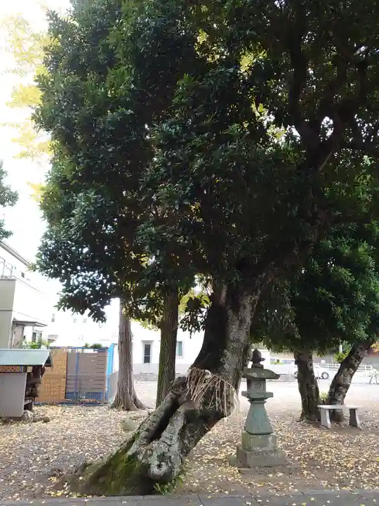 小土神社の自然