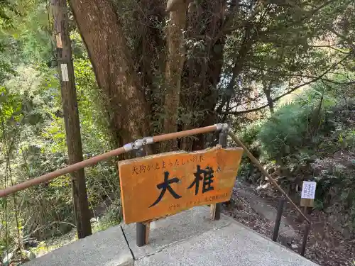 南禅寺の{uncategorized: "未分類", other: "その他", undefined: "問題あり", building: "その他建物", grave: "お墓", sacred_gate: "鳥居", guardian: "狛犬", statue: "像", buddha: "仏像", history: "歴史", nature: "自然", garden: "庭園", animal: "動物", pagoda: "塔", temizu: "手水舎", mountain_gate: "山門・神門", sanctuary: "本殿・本堂", subordinate: "末社・摂社", art: "芸術", scenery: "景色", jizo: "地蔵", ema: "絵馬", goshuin: "御朱印", omikuji: "おみくじ", items: "授与品その他", amulet: "お守り", goshuincho: "御朱印帳", eats: "食事", festival: "お祭り", votive_dance: "神楽", shichigosan: "七五三参", wedding: "結婚式", experience: "体験その他", initially: "初詣", around: "周辺", anti_infection: "感染症対策"}