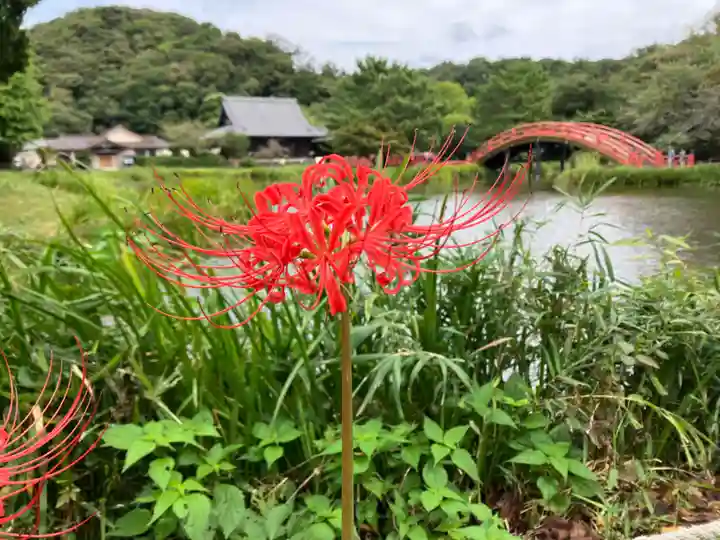 稱名寺(神奈川県)