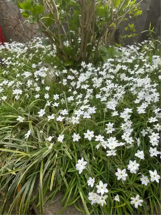 圓應寺(東京都)