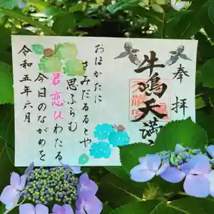 牛嶋天満宮の御朱印(2023年05月31日(水) 21時31分10秒投稿)