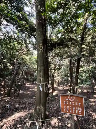 美具久留御魂神社の自然