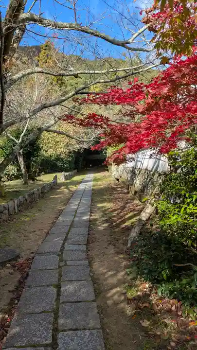 勝持寺(花の寺)(京都府)