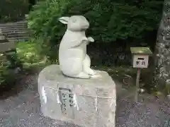 出雲大神宮の狛犬