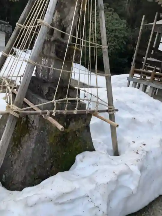白鳥神社の狛犬