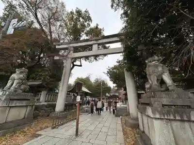 秩父神社の{uncategorized: "未分類", other: "その他", undefined: "問題あり", building: "その他建物", grave: "お墓", sacred_gate: "鳥居", guardian: "狛犬", statue: "像", buddha: "仏像", history: "歴史", nature: "自然", garden: "庭園", animal: "動物", pagoda: "塔", temizu: "手水舎", mountain_gate: "山門・神門", sanctuary: "本殿・本堂", subordinate: "末社・摂社", art: "芸術", scenery: "景色", jizo: "地蔵", ema: "絵馬", goshuin: "御朱印", omikuji: "おみくじ", items: "授与品その他", amulet: "お守り", goshuincho: "御朱印帳", eats: "食事", festival: "お祭り", votive_dance: "神楽", shichigosan: "七五三参", wedding: "結婚式", experience: "体験その他", initially: "初詣", around: "周辺", anti_infection: "感染症対策"}