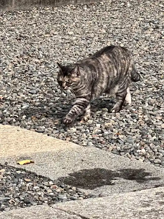 女塚神社(東京都)