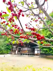 女化神社の本殿