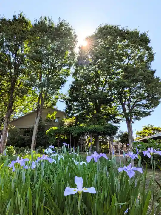 妙法寺(東京都)