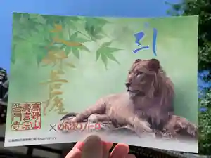 普門寺(切り絵御朱印発祥の寺)(愛知県) 2021年08月13日(金)〜(2021年08月12日(木) 08時17分01秒投稿)