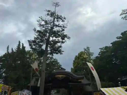 大國魂神社の{uncategorized: "未分類", other: "その他", undefined: "問題あり", building: "その他建物", grave: "お墓", sacred_gate: "鳥居", guardian: "狛犬", statue: "像", buddha: "仏像", history: "歴史", nature: "自然", garden: "庭園", animal: "動物", pagoda: "塔", temizu: "手水舎", mountain_gate: "山門・神門", sanctuary: "本殿・本堂", subordinate: "末社・摂社", art: "芸術", scenery: "景色", jizo: "地蔵", ema: "絵馬", goshuin: "御朱印", omikuji: "おみくじ", items: "授与品その他", amulet: "お守り", goshuincho: "御朱印帳", eats: "食事", festival: "お祭り", votive_dance: "神楽", shichigosan: "七五三参", wedding: "結婚式", experience: "体験その他", initially: "初詣", around: "周辺", anti_infection: "感染症対策"}
