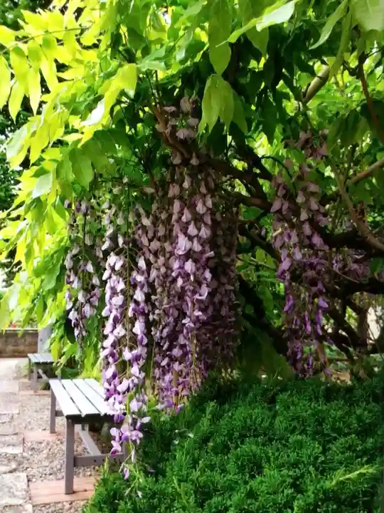 禅定院(東京都)