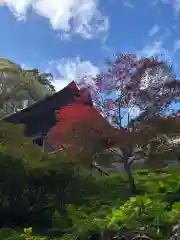 宝珠山 立石寺(山形県)