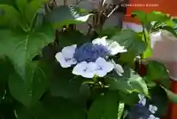 東京羽田 穴守稲荷神社(東京都)