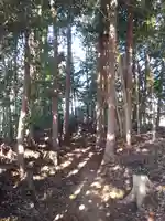 祠(名称不明)(茨城県)