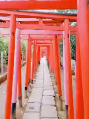 根津神社の鳥居