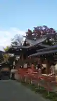 行田八幡神社の本殿・本堂