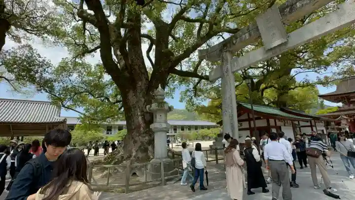 太宰府天満宮の鳥居