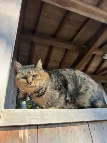 上岩出神社の{uncategorized: "未分類", other: "その他", undefined: "問題あり", building: "その他建物", grave: "お墓", sacred_gate: "鳥居", guardian: "狛犬", statue: "像", buddha: "仏像", history: "歴史", nature: "自然", garden: "庭園", animal: "動物", pagoda: "塔", temizu: "手水舎", mountain_gate: "山門・神門", sanctuary: "本殿・本堂", subordinate: "末社・摂社", art: "芸術", scenery: "景色", jizo: "地蔵", ema: "絵馬", goshuin: "御朱印", omikuji: "おみくじ", items: "授与品その他", amulet: "お守り", goshuincho: "御朱印帳", eats: "食事", festival: "お祭り", votive_dance: "神楽", shichigosan: "七五三参", wedding: "結婚式", experience: "体験その他", initially: "初詣", around: "周辺", anti_infection: "感染症対策"}