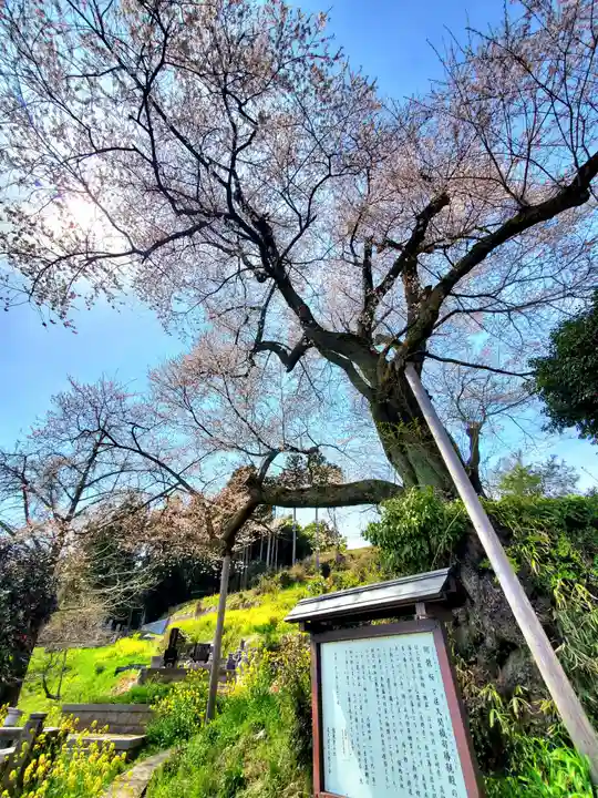 曹洞宗 永松山 龍泉寺(福島県)
