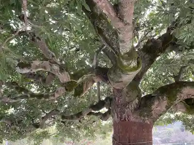 平等院(京都府)