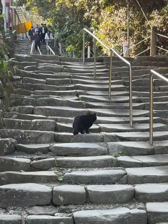 鵜戸神宮(宮崎県)