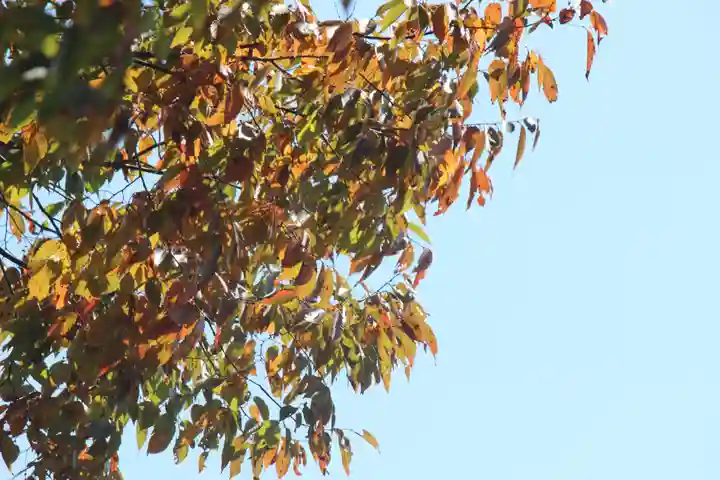 国宝 大法寺(長野県)