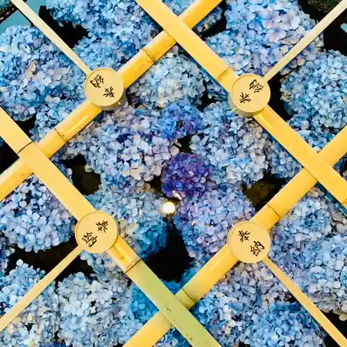 土津神社｜こどもと出世の神さまの手水舎