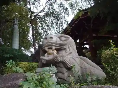 善養寺（善養密寺）(東京都)