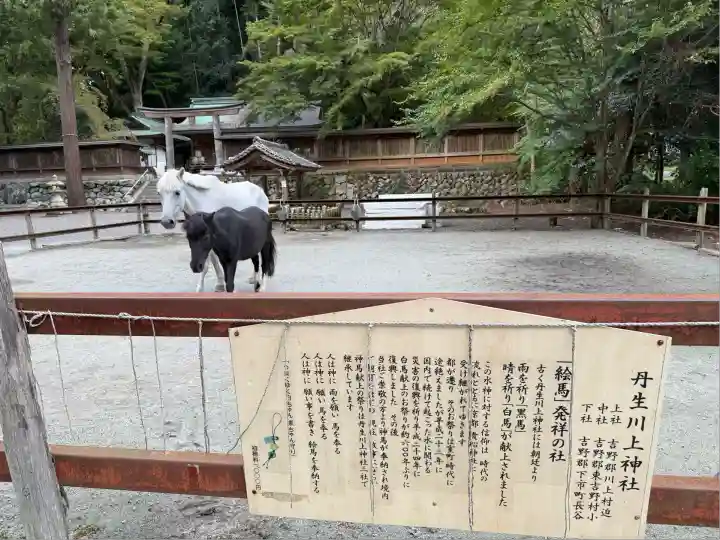 丹生川上神社(下社)(奈良県)