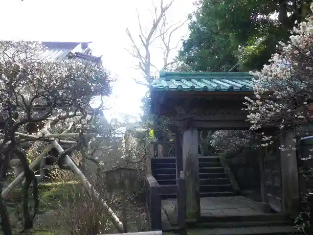 英勝寺の山門・神門