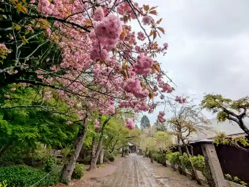 宝珠山 立石寺(山形県)