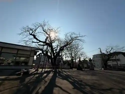 豊受神社の{uncategorized: "未分類", other: "その他", undefined: "問題あり", building: "その他建物", grave: "お墓", sacred_gate: "鳥居", guardian: "狛犬", statue: "像", buddha: "仏像", history: "歴史", nature: "自然", garden: "庭園", animal: "動物", pagoda: "塔", temizu: "手水舎", mountain_gate: "山門・神門", sanctuary: "本殿・本堂", subordinate: "末社・摂社", art: "芸術", scenery: "景色", jizo: "地蔵", ema: "絵馬", goshuin: "御朱印", omikuji: "おみくじ", items: "授与品その他", amulet: "お守り", goshuincho: "御朱印帳", eats: "食事", festival: "お祭り", votive_dance: "神楽", shichigosan: "七五三参", wedding: "結婚式", experience: "体験その他", initially: "初詣", around: "周辺", anti_infection: "感染症対策"}