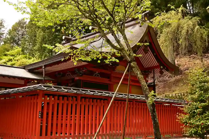 金櫻神社(山梨県)