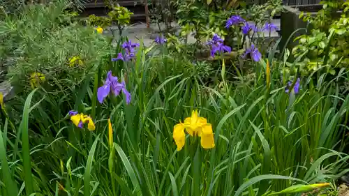 宝蔵寺(京都府)