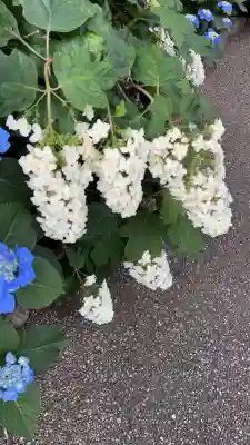 性海寺(愛知県)