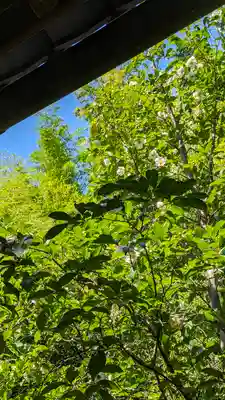 東林院(京都府)