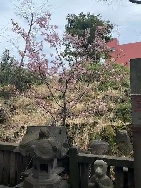 小野照崎神社の自然
