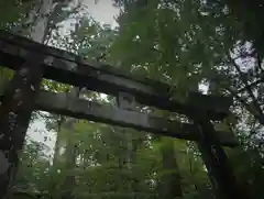 瀧尾神社（日光二荒山神社別宮）の鳥居