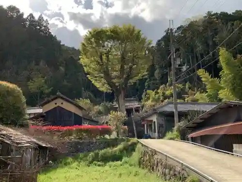 大河内神社の自然