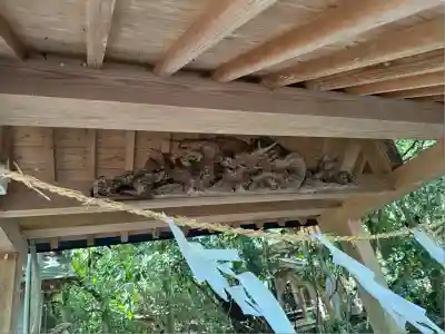 八大龍王水神(宮崎県)