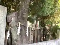 山神社の自然
