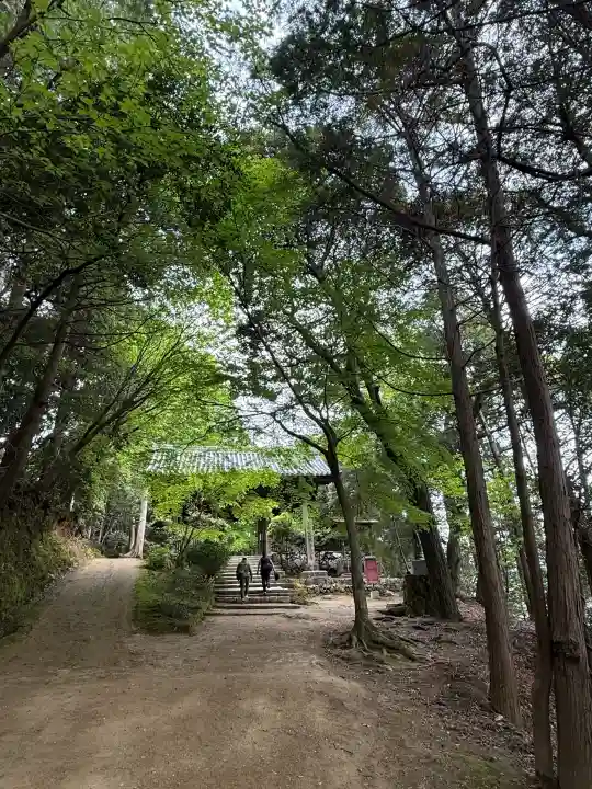 圓教寺の{uncategorized: "未分類", other: "その他", undefined: "問題あり", building: "その他建物", grave: "お墓", sacred_gate: "鳥居", guardian: "狛犬", statue: "像", buddha: "仏像", history: "歴史", nature: "自然", garden: "庭園", animal: "動物", pagoda: "塔", temizu: "手水舎", mountain_gate: "山門・神門", sanctuary: "本殿・本堂", subordinate: "末社・摂社", art: "芸術", scenery: "景色", jizo: "地蔵", ema: "絵馬", goshuin: "御朱印", omikuji: "おみくじ", items: "授与品その他", amulet: "お守り", goshuincho: "御朱印帳", eats: "食事", festival: "お祭り", votive_dance: "神楽", shichigosan: "七五三参", wedding: "結婚式", experience: "体験その他", initially: "初詣", around: "周辺", anti_infection: "感染症対策"}