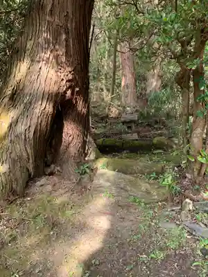 熊野神社の末社・摂社