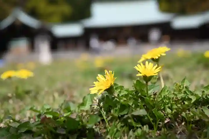 靜岡縣護國神社の自然