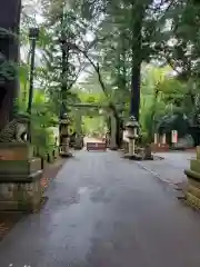 岩槻久伊豆神社(埼玉県)