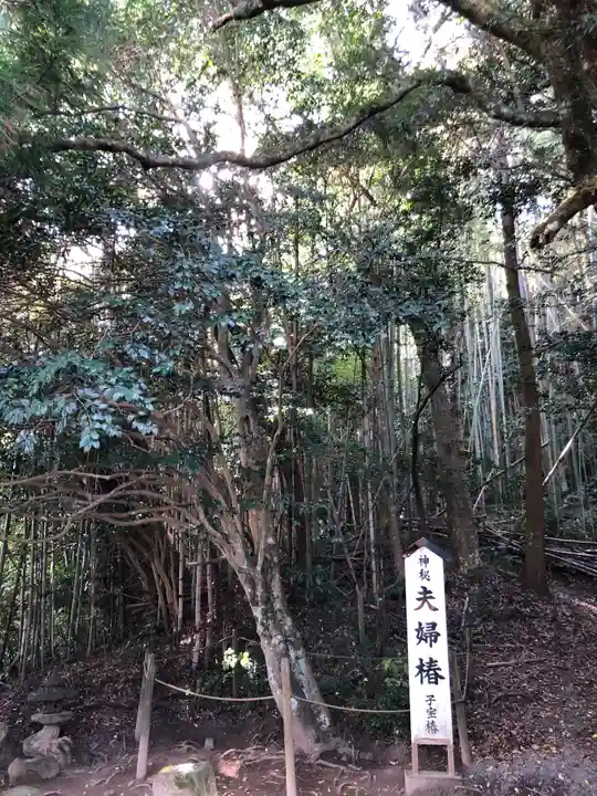 八重垣神社の自然