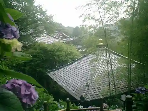 長谷寺のその他建物